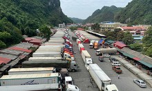 Hàng trăm container thanh long tắc ở cửa khẩu Tân Thanh