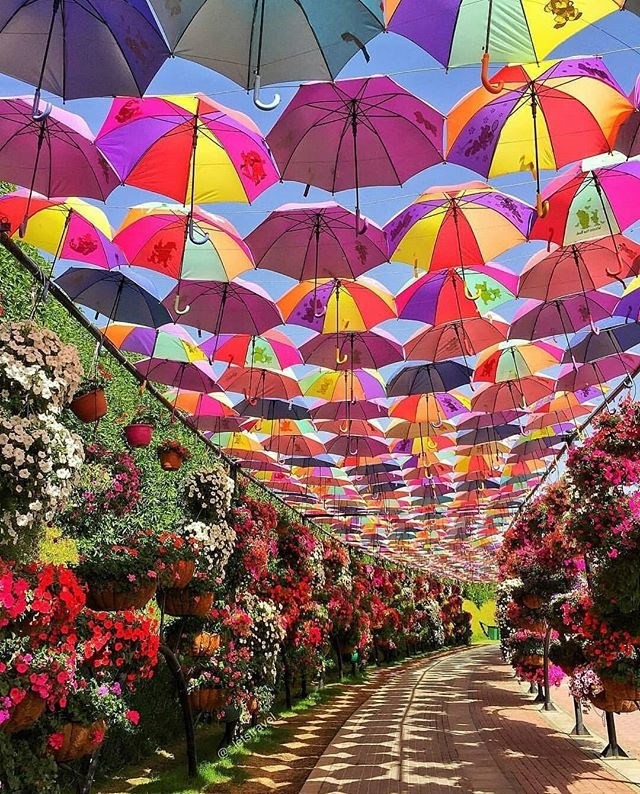 len-keo-book-ve-di-la-vua-vi-festival-hoa-da-lat-2019-vua-cong-bo-chuong-trinh-chinh-thuc-cacdf3b6636987927593115172