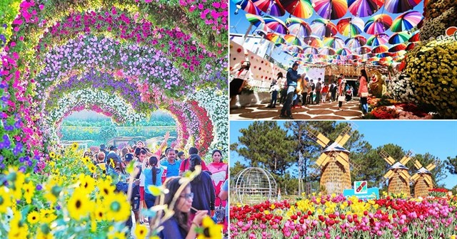len-keo-book-ve-di-la-vua-vi-festival-hoa-da-lat-2019-vua-cong-bo-chuong-trinh-chinh-thuc-f5858b54636987940924038848
