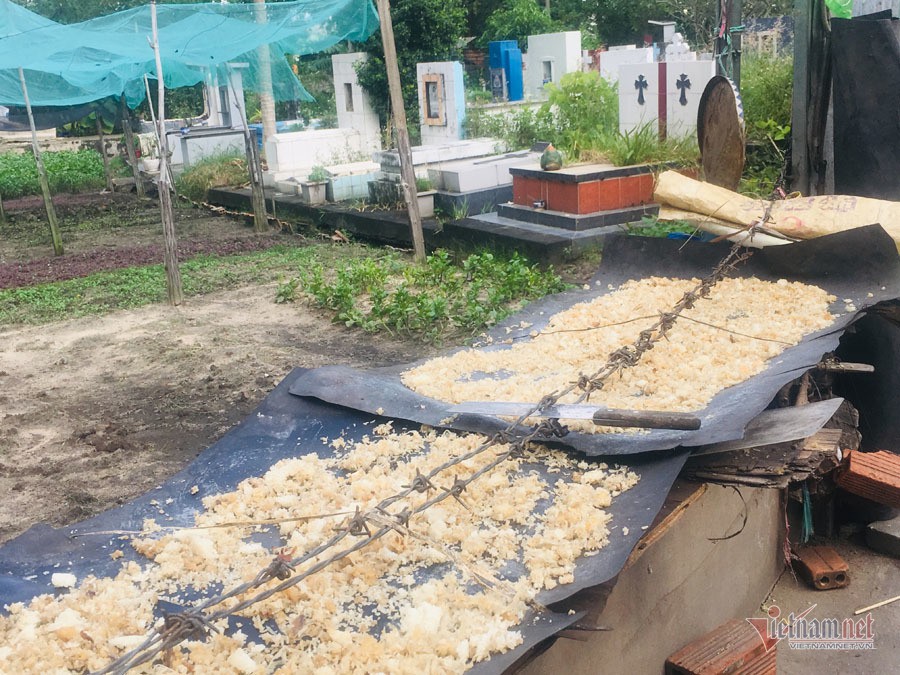 Chuyện lạ ở khu đất vàng triệu đô Sài Gòn, dân khốn khổ vì mùi tử thi - Ảnh 4. Chuyện lạ ở khu đất vàng triệu đô Sài Gòn, dân khốn khổ vì mùi tử thi - Ảnh 4.