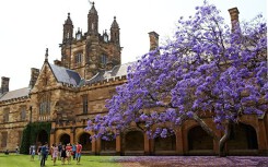 Mùa hoa phượng tím ở Australia