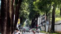 Phố không vội vã ở Sài Gòn