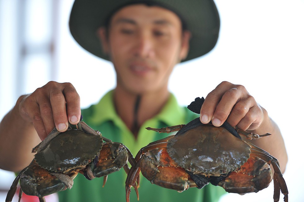 Thử một lần đi xóm chợ cuối cùng nơi cực Nam Việt Nam: Dung dị, bình yên! - Ảnh 13. Thử một lần đi xóm chợ cuối cùng nơi cực Nam Việt Nam: Dung dị, bình yên! - Ảnh 13.