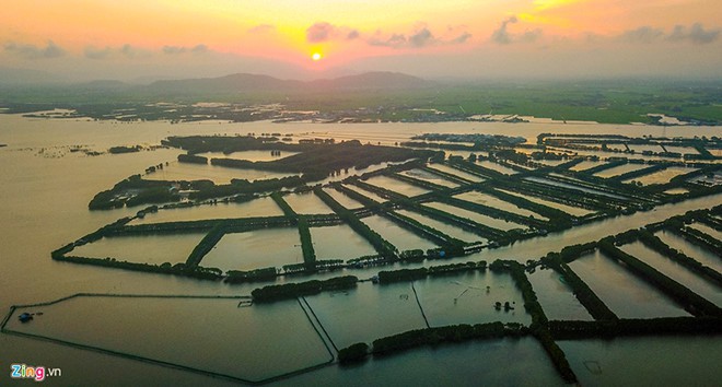 Thu hồi quyết định giao đất làm dự án 5.000 tỉ ở Quy Nhơn - Ảnh 2. Thu hồi quyết định giao đất làm dự án 5.000 tỉ ở Quy Nhơn - Ảnh 2.