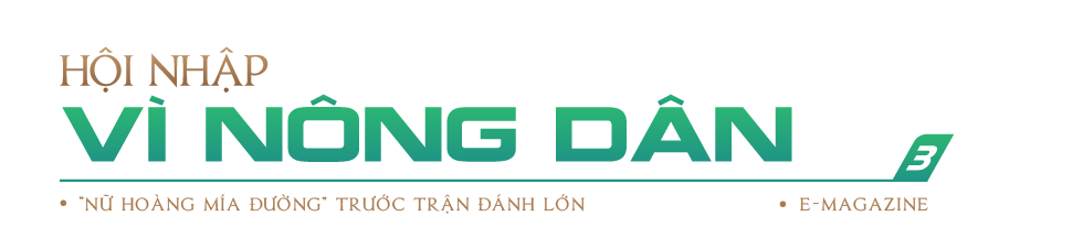 “Nữ hoàng mía đường” trước trận đánh lớn - Ảnh 8.