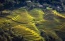 Những 'nấc thang lên trời' ở Hoàng Su Phì