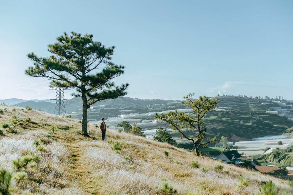 Ngam Da Lat vao thu chim trong bien suong mu hinh anh 12 