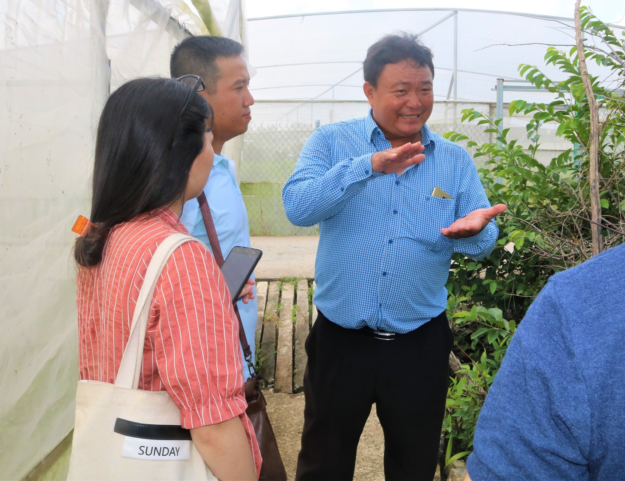 'Đột nhập' vùng trồng rau miền Tây tươi mướt như ở Đà Lạt cung cấp cho Bách Hóa Xanh - Ảnh 2. 'Đột nhập' vùng trồng rau miền Tây tươi mướt như ở Đà Lạt cung cấp cho Bách Hóa Xanh - Ảnh 2.