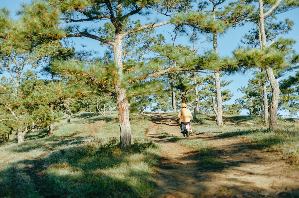 Ngam Da Lat vao thu chim trong bien suong mu hinh anh 7 