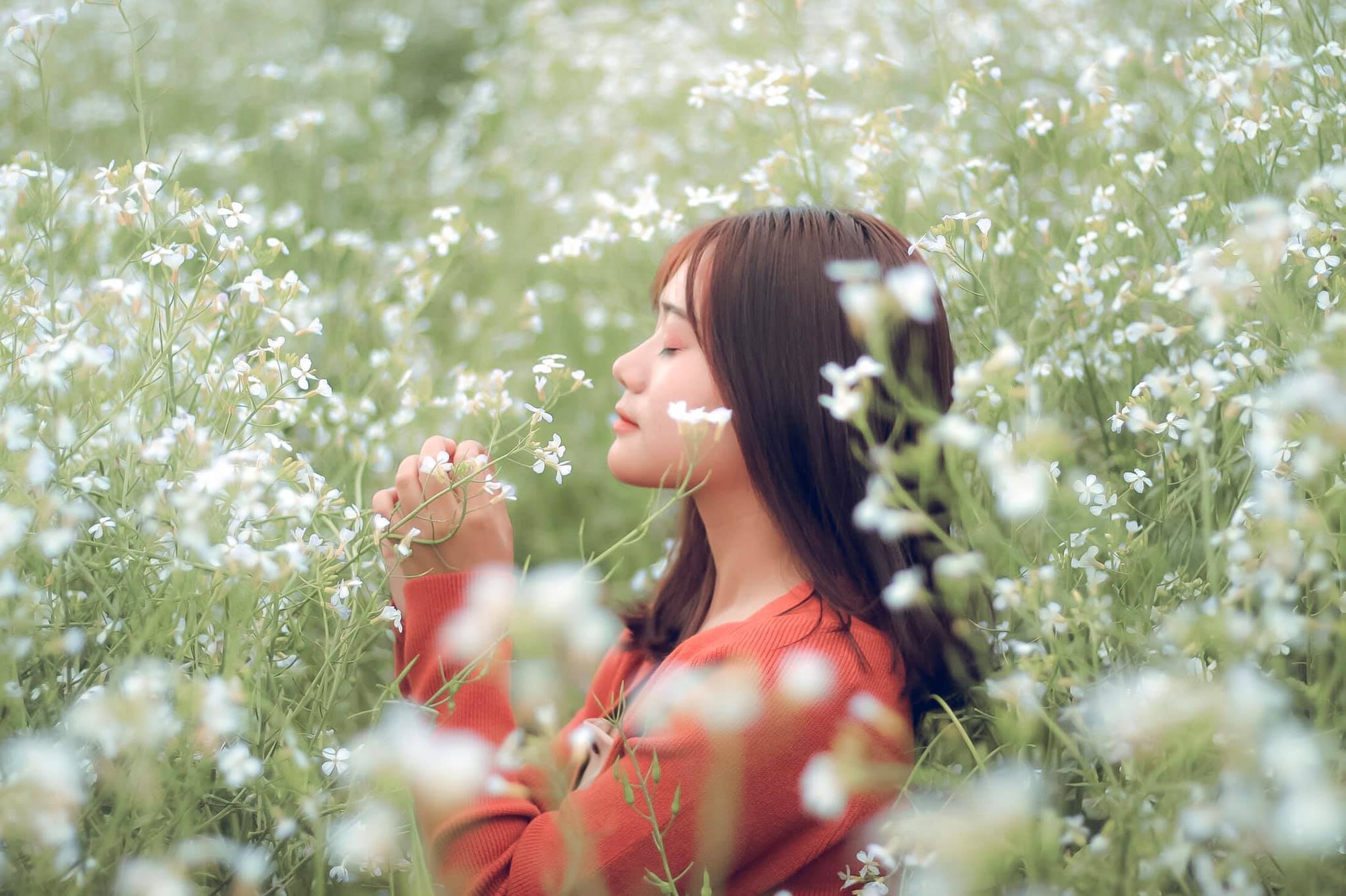 Đà Lạt_Đồng Ngô 3