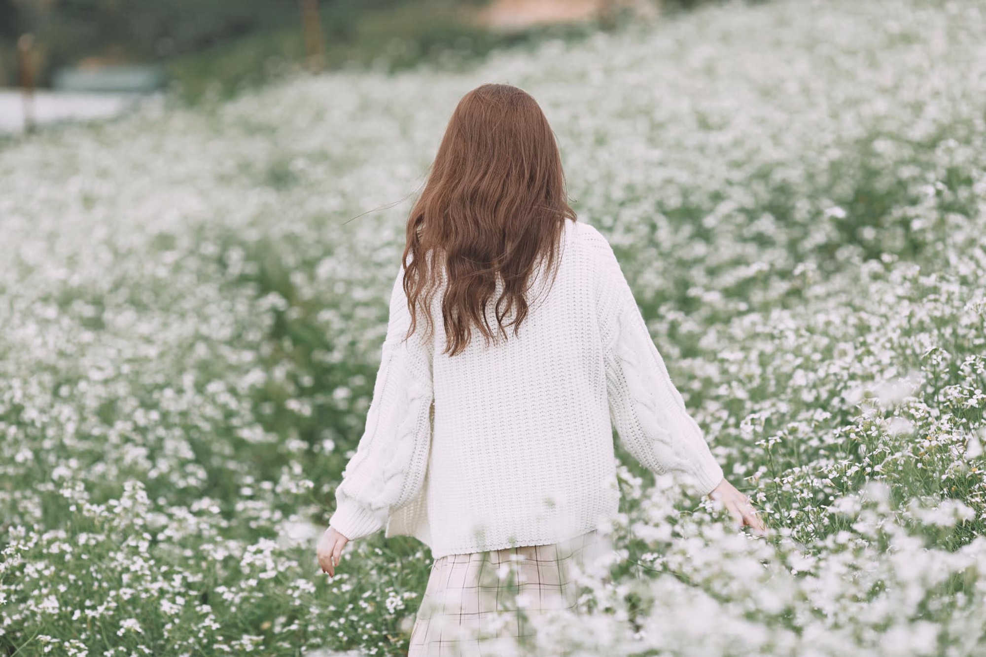 Đà Lạt_Minh Kiều_Cải