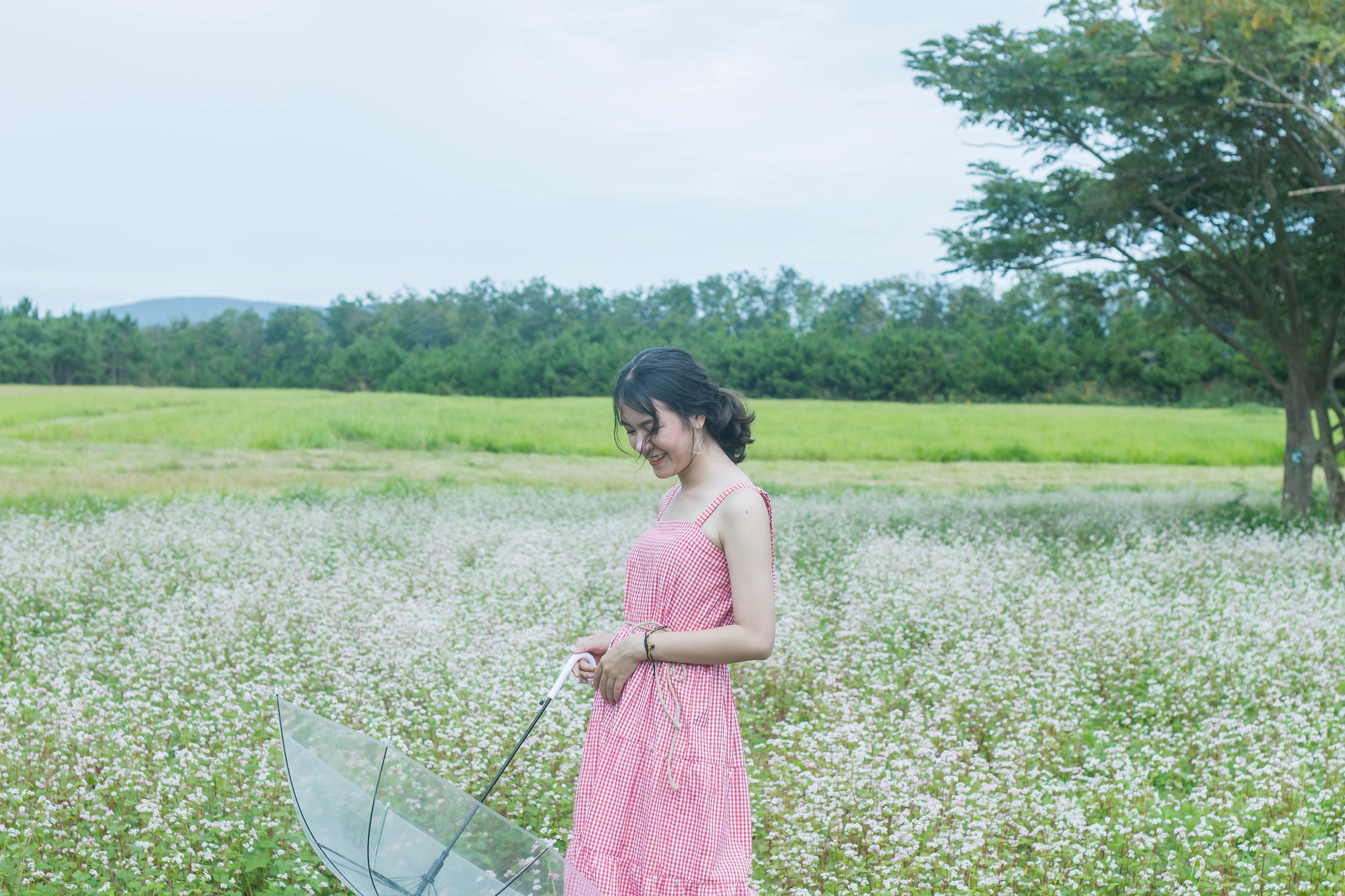 ĐÀ LAT_NV Pink