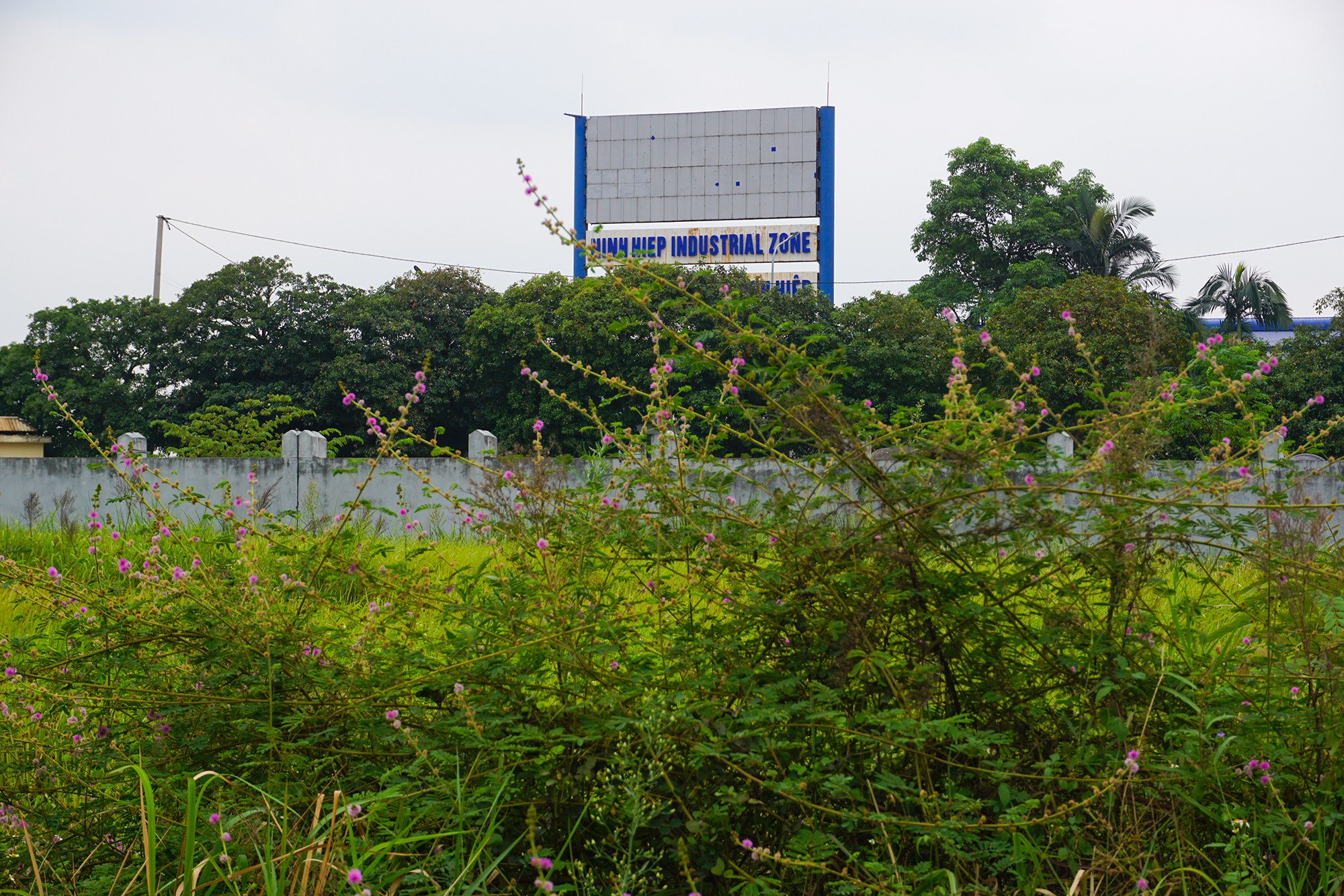 DSC03679