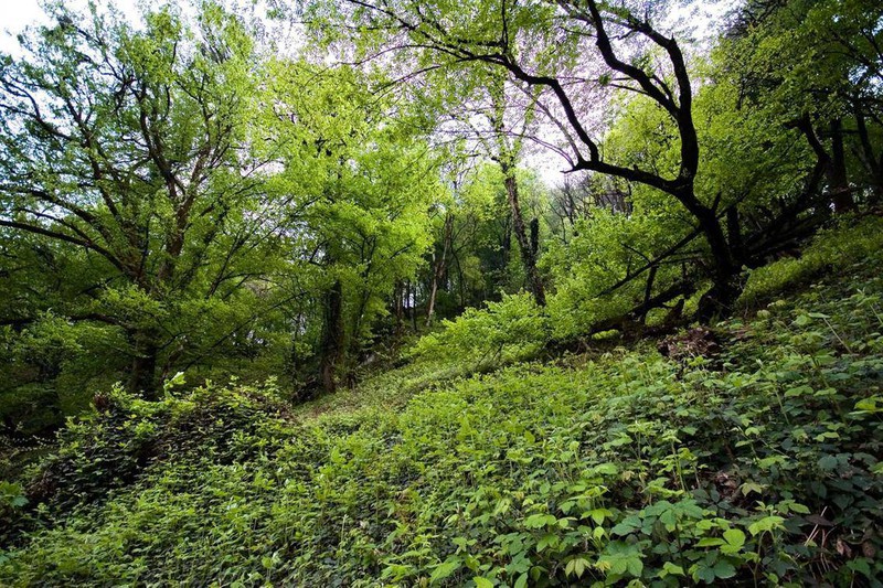 photo-5