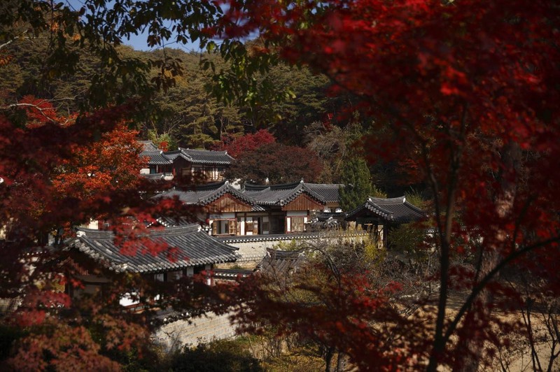 photo-9