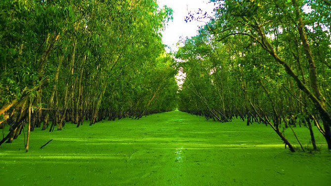 An Giang 24h - Cập nhật tin tức An Giang mới nhất hiện nay
