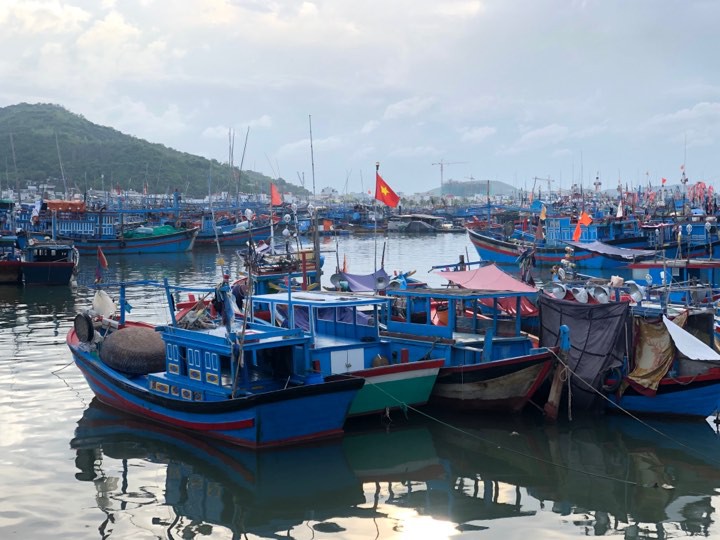 neo dau tau thuyen tranh bao