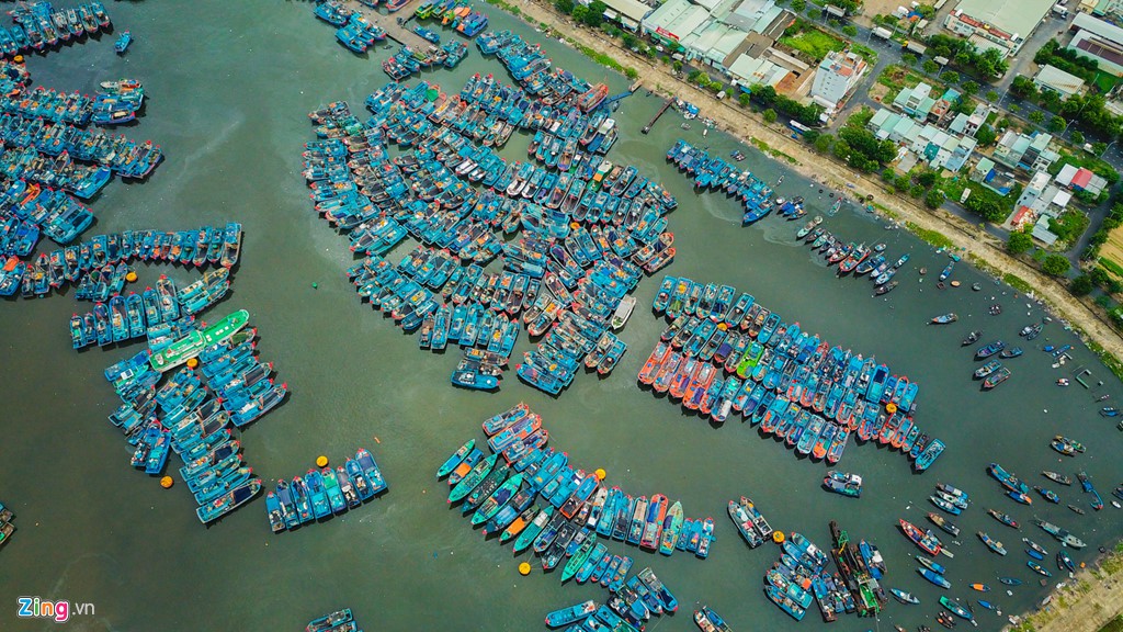 4.000 tàu cá vào âu thuyền trú bão ở Đà Nẵng - Ảnh 2.