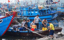 4.000 tàu cá vào âu thuyền trú bão ở Đà Nẵng