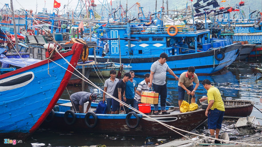 4.000 tàu cá vào âu thuyền trú bão ở Đà Nẵng - Ảnh 6.