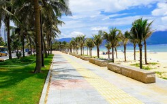 11 tỉ đồng trồng cây xanh, làm tiện ích công cộng ven biển Đà Nẵng