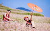 Những điều cần biết về lễ hội hoa tam giác mạch Hà Giang 2019