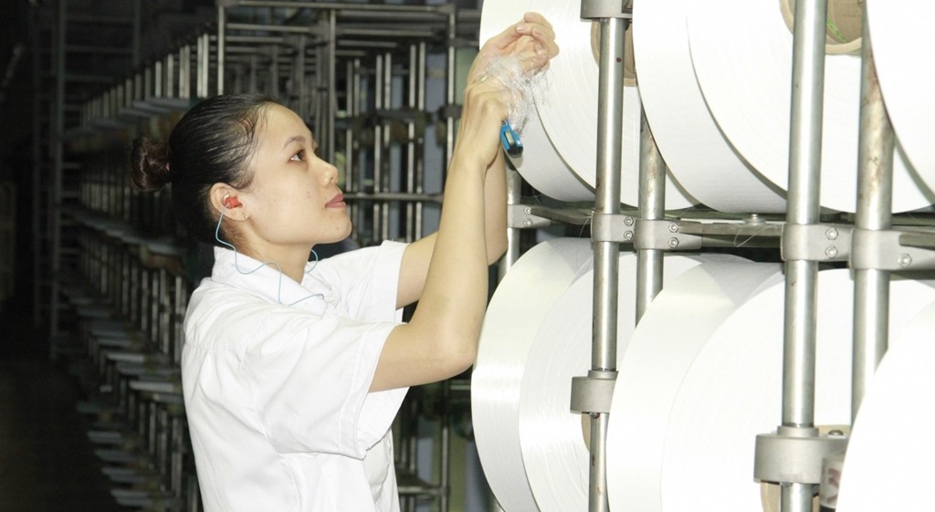 Nhà máy xơ sợi Đình Vũ nợ hơn 7.800 tỉ đồng - Ảnh 7. Nhà máy xơ sợi Đình Vũ nợ hơn 7.800 tỉ đồng - Ảnh 7.