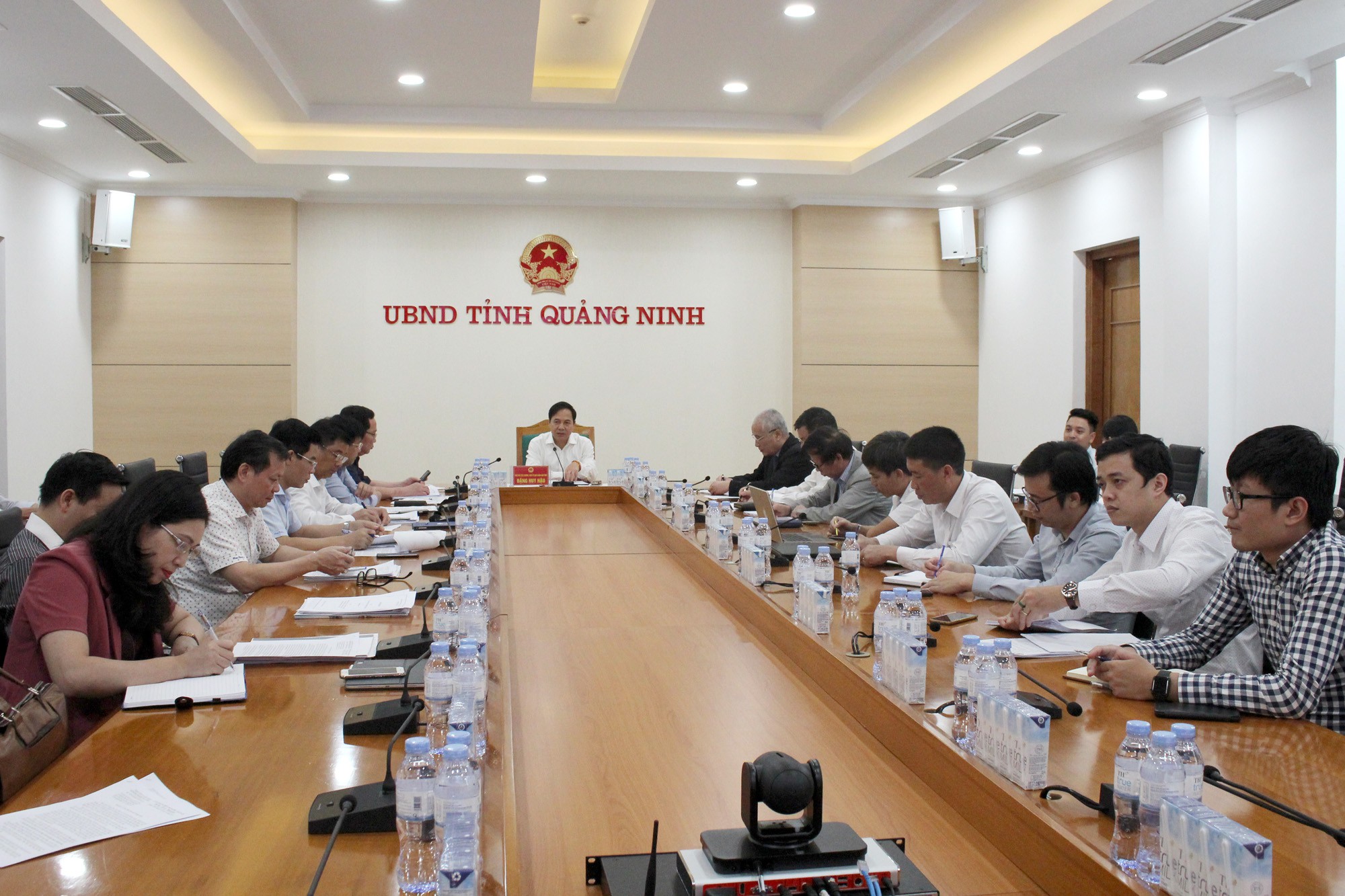 Đề xuất tham gia tái cấu trúc hai DN chuyên trồng rừng ở Quảng Ninh, Tập đoàn TH muốn có thêm vùng trồng cỏ cho bò sữa và phát triển du lịch - Ảnh 1.