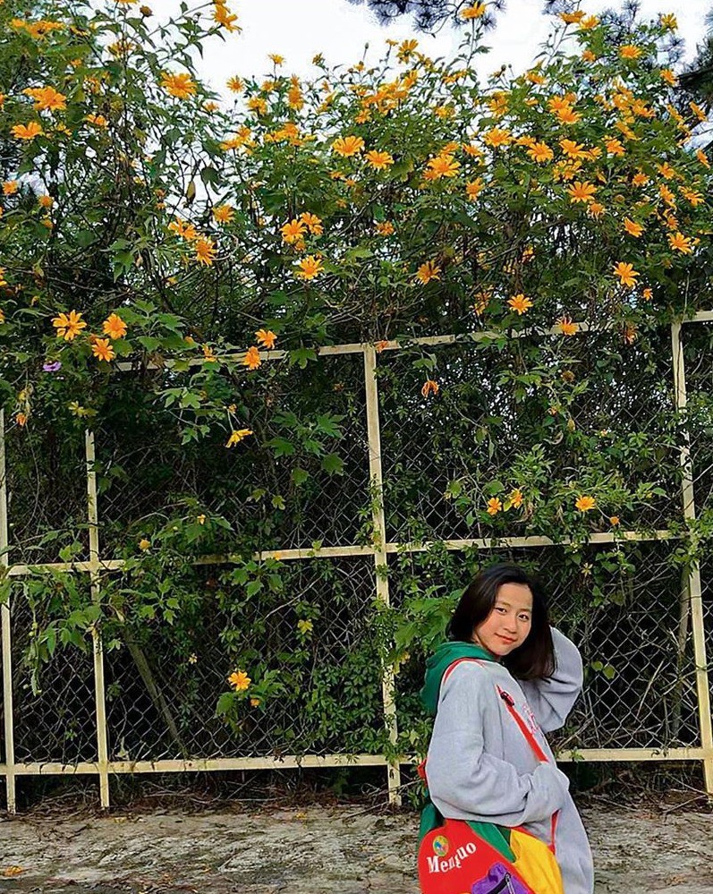 Gioi tre ru nhau toi Da Lat check-in mua hoa da quy hinh anh 10 