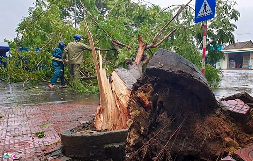 Xác xơ sau bão, Bình Định ban bố tình trạng khẩn cấp - Ảnh 11.