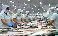 Xuất khẩu tôm, cá tra, mực, bạch tuộc giảm