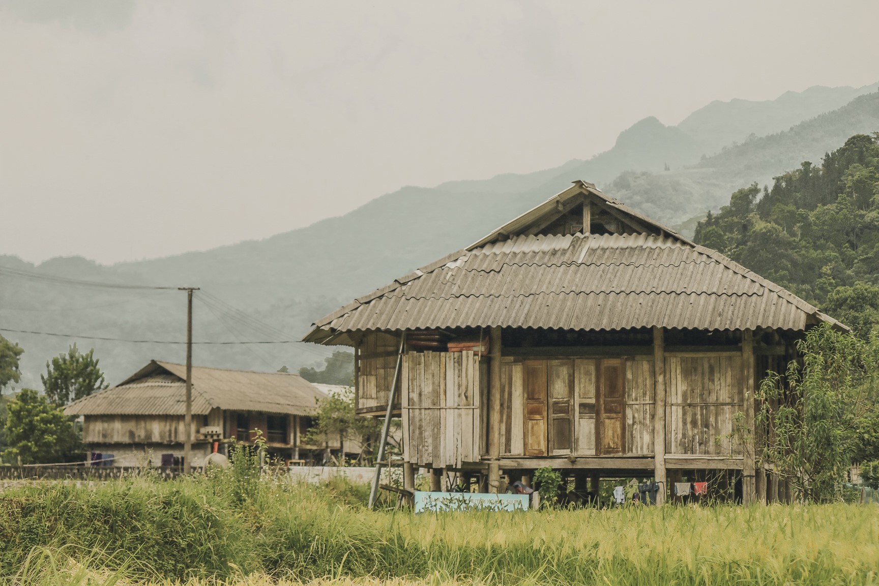 Đi qua thương nhớ mùa vàng Hà Giang - Ảnh 1.