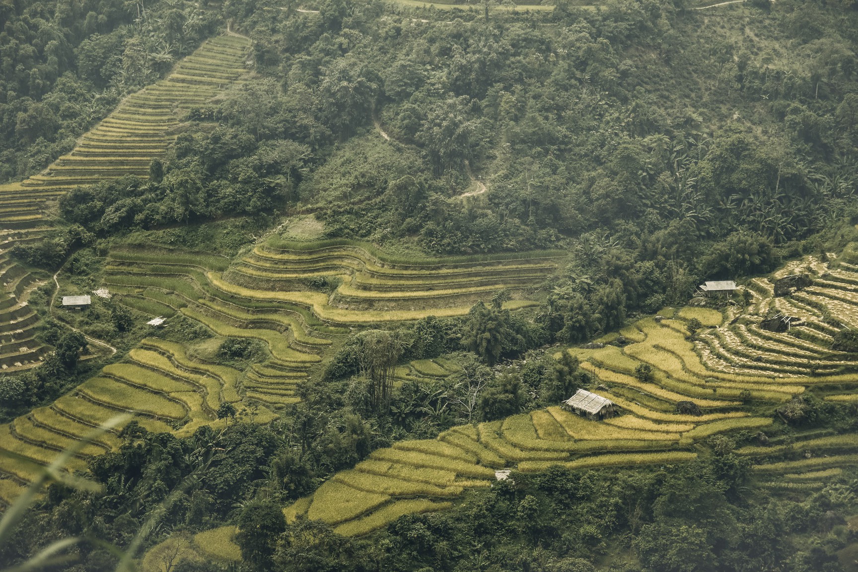 Di qua thuong nho mua vang Ha Giang hinh anh 10 