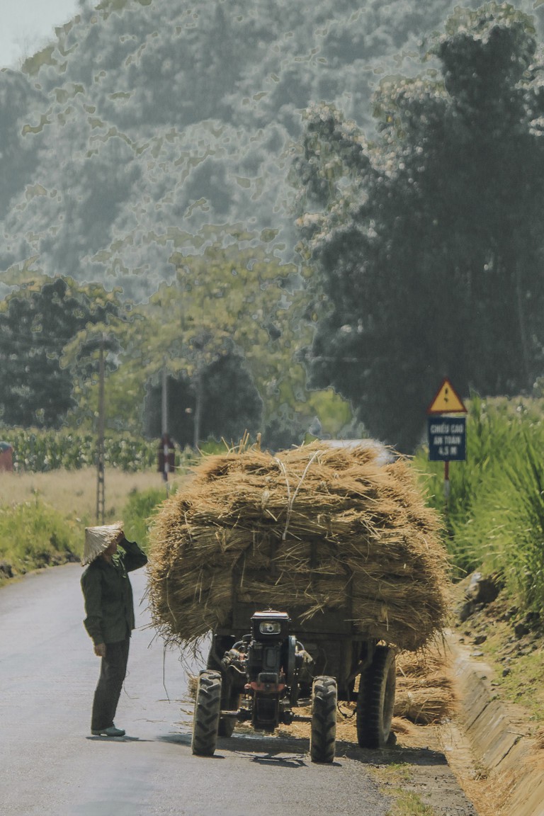 Di qua thuong nho mua vang Ha Giang hinh anh 15 