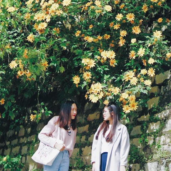 Dinh vi 9 cung duong san hoa da quy o Da Lat hinh anh 6 Dinh vi 9 cung duong san hoa da quy o Da Lat hinh anh 6