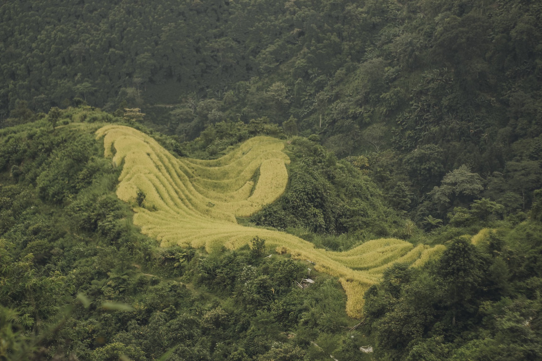 Di qua thuong nho mua vang Ha Giang hinh anh 8 