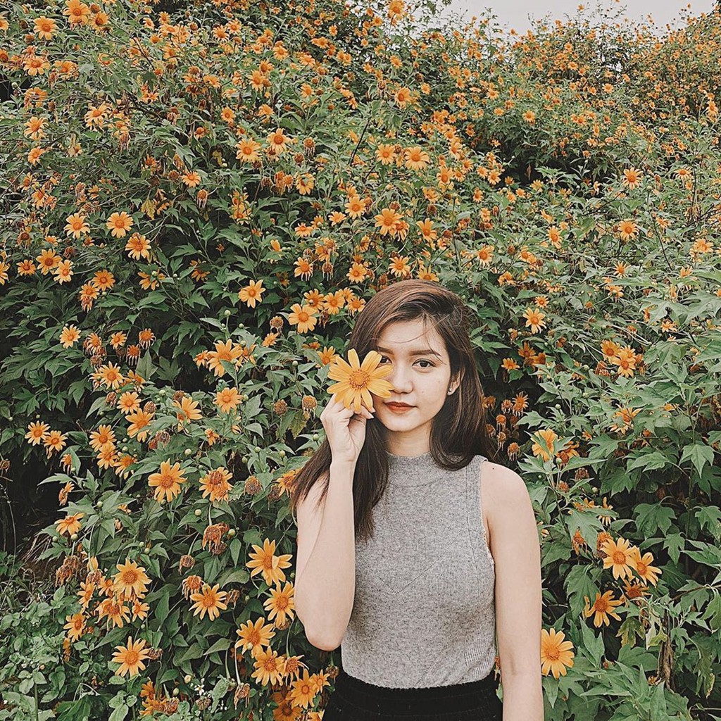 Dinh vi 9 cung duong san hoa da quy o Da Lat hinh anh 8 Dinh vi 9 cung duong san hoa da quy o Da Lat hinh anh 8
