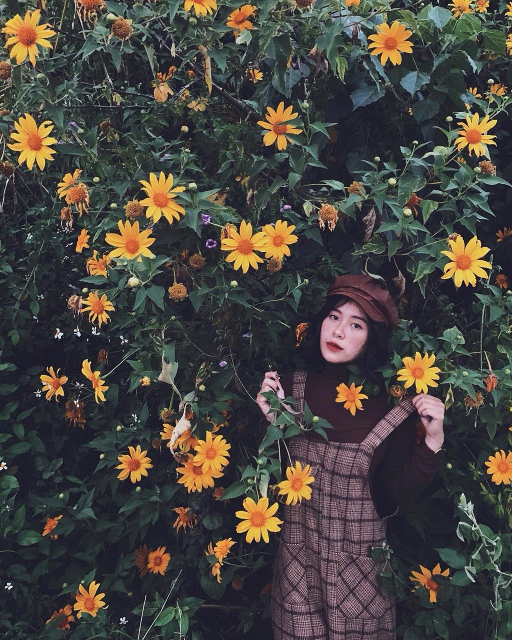 Dinh vi 9 cung duong san hoa da quy o Da Lat hinh anh 9 Dinh vi 9 cung duong san hoa da quy o Da Lat hinh anh 9