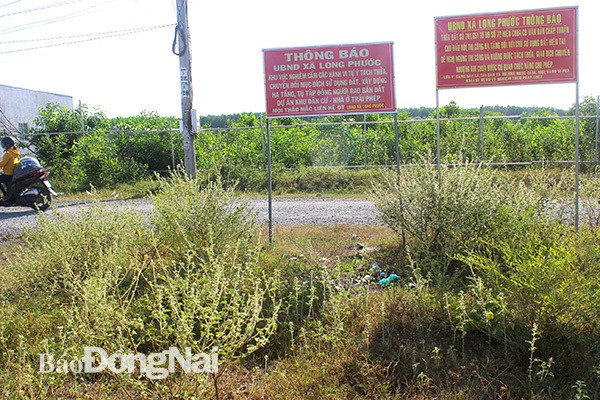 Nghìn người sập bẫy đất nền, còn bao nhiêu địa ốc kiểu Alibaba chưa lộ diện - Ảnh 1. Nghìn người sập bẫy đất nền, còn bao nhiêu địa ốc kiểu Alibaba chưa lộ diện - Ảnh 1.