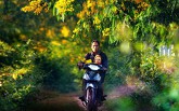 Nhờ cộng đồng mạng, tam giác mạch, dã quì, muồng vàng... từ vô danh thành biểu tượng