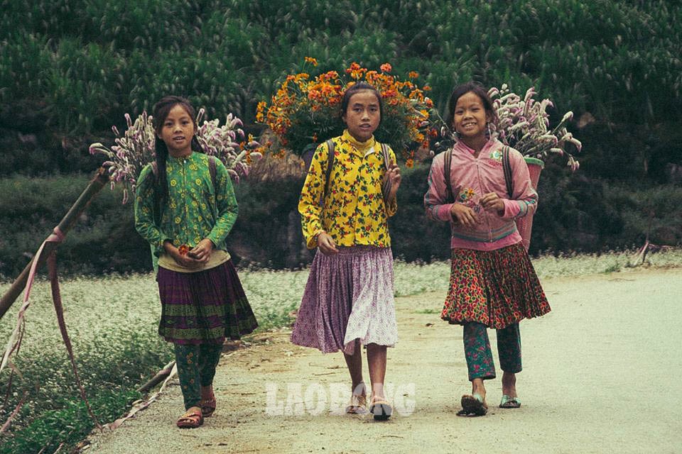 Ngoài Mã Pì Lèng, đây là những địa điểm không thể bỏ qua khi đến Hà Giang - Ảnh 12. Ngoài Mã Pì Lèng, đây là những địa điểm không thể bỏ qua khi đến Hà Giang - Ảnh 12.