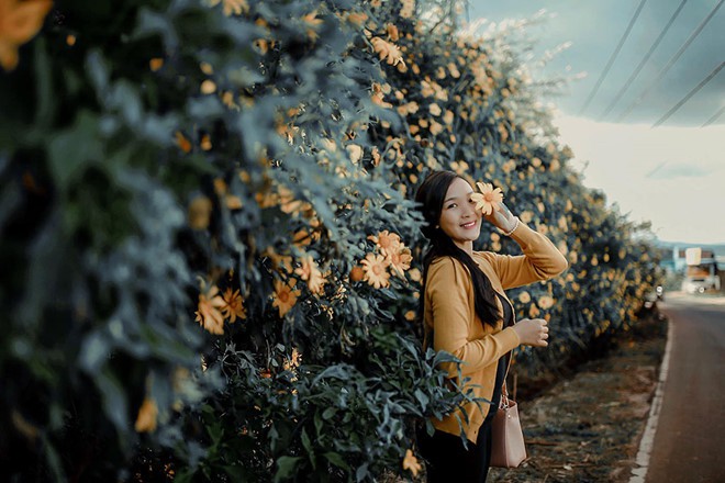 Nhờ cộng đồng mạng, tam giác mạch, dã quì, muồng vàng... từ vô danh thành biểu tượng - Ảnh 5.