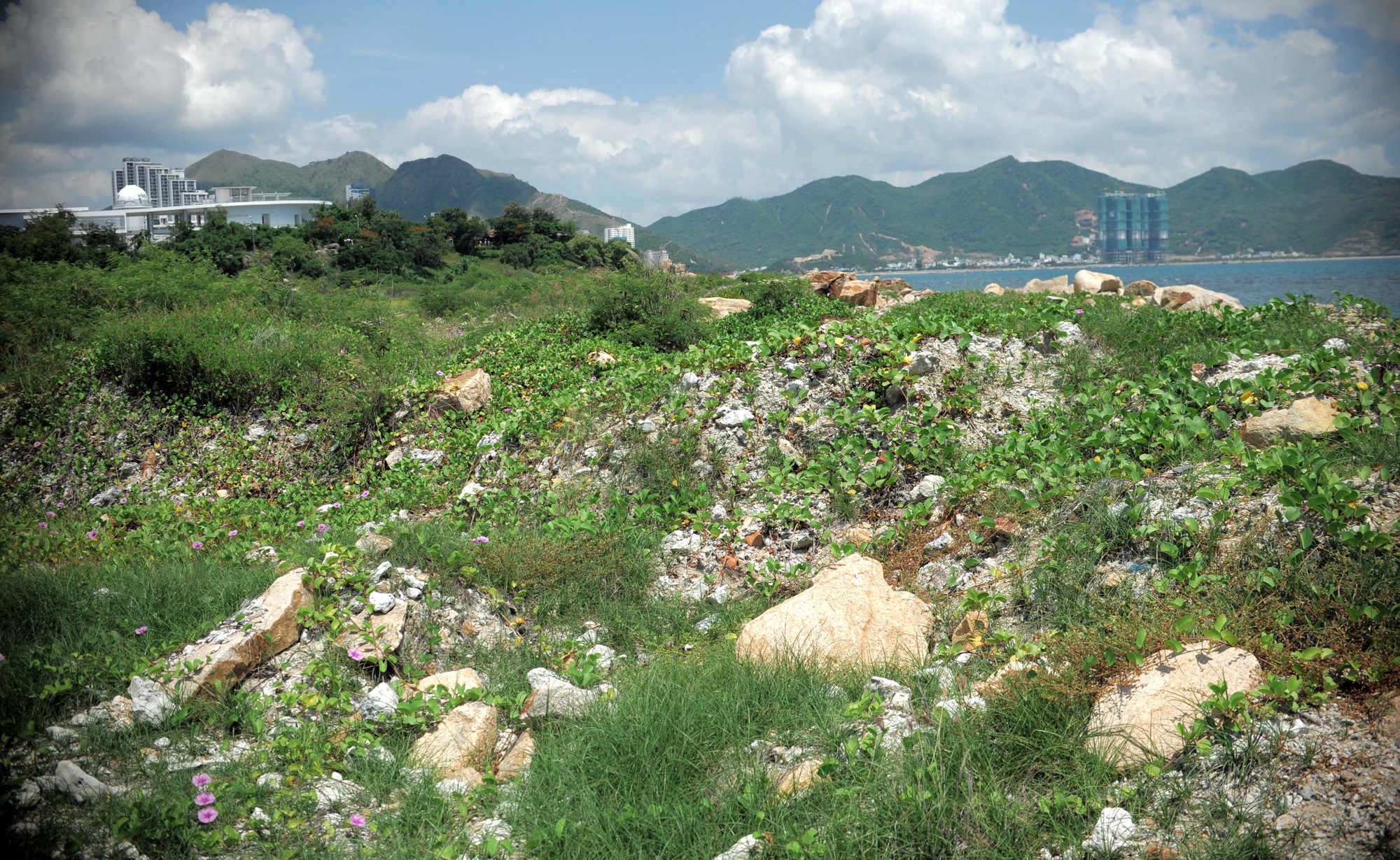nha trang sao 1 nha trang sao 1