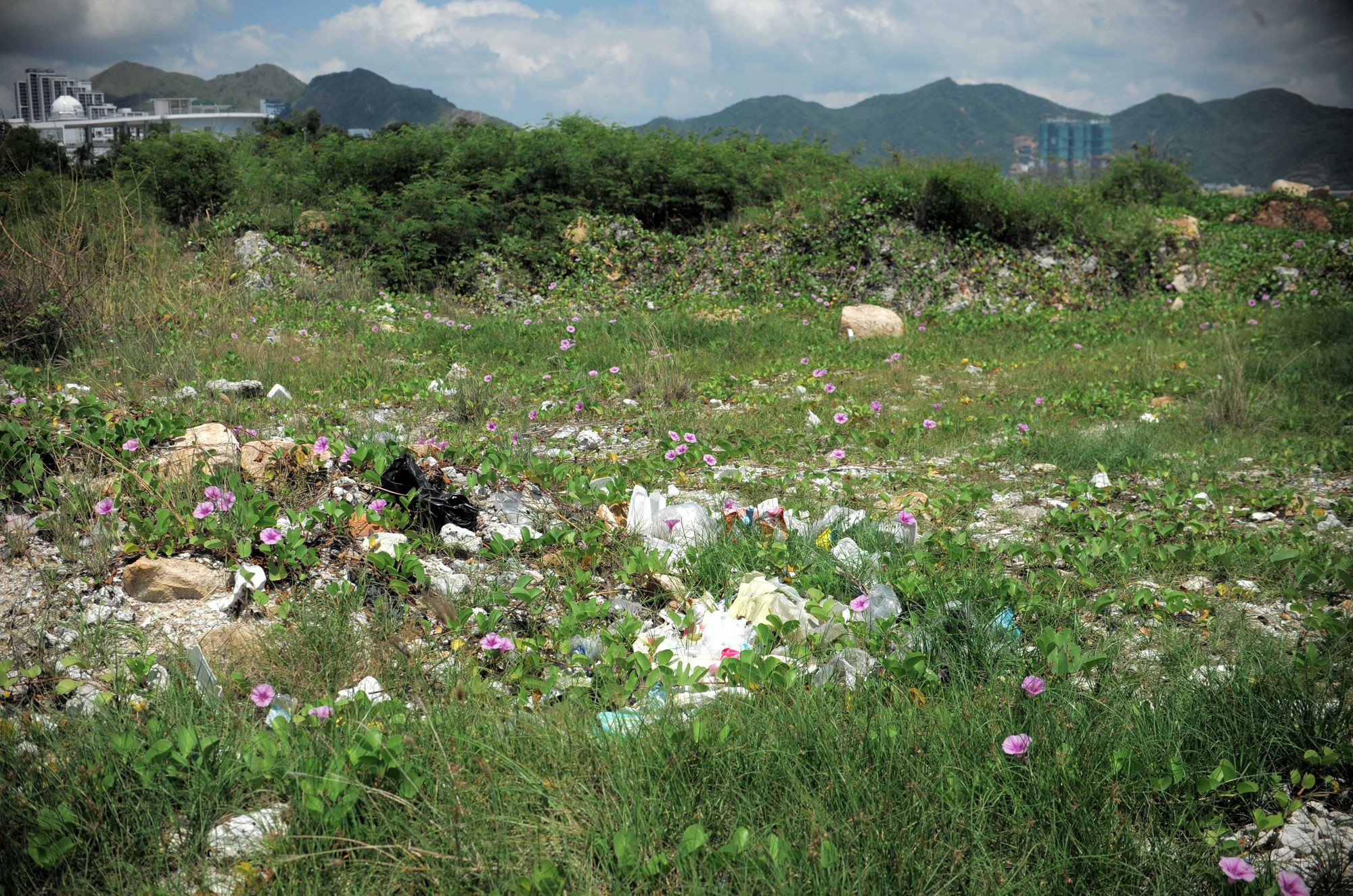 nha trang sao 5 nha trang sao 5