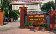 Ai nhận nữ trưởng phòng dùng bằng của chị vào Tỉnh ủy Đắk Lắk?