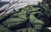 Nghìn lẻ một góc chụp sang chảnh tại sân bay đẹp nhất châu Á