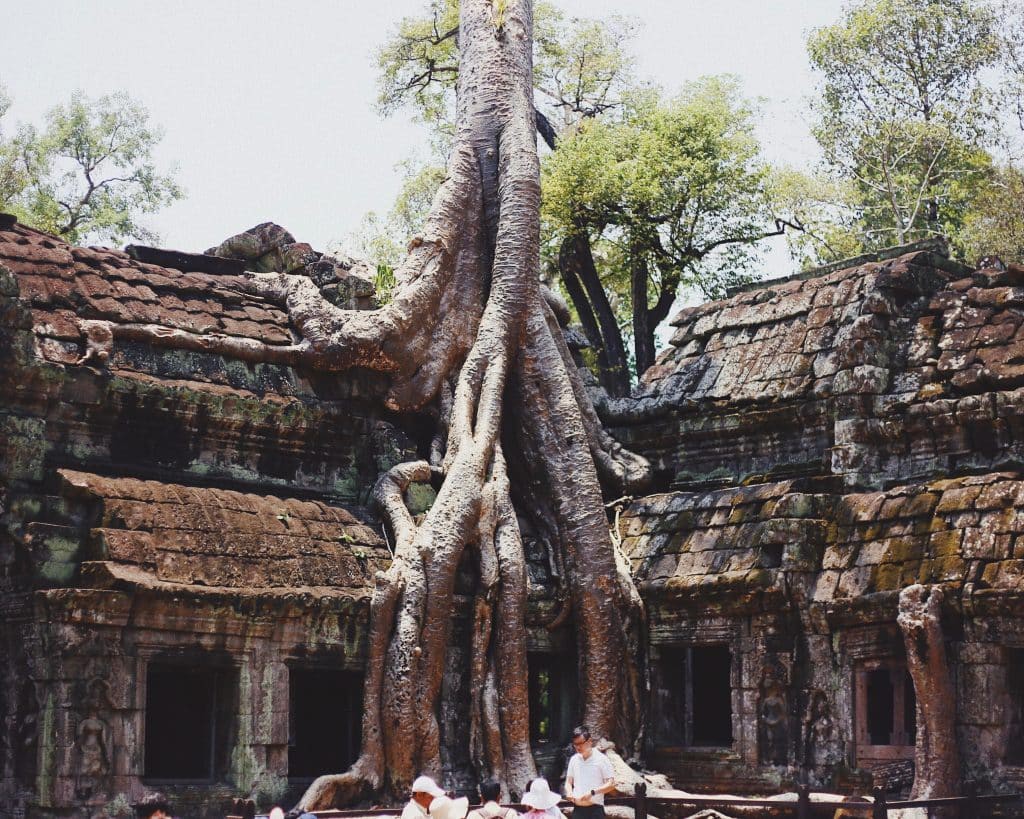 siamreap siamreap