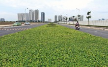 Cận cảnh con đường 'hoa vàng cỏ xanh' nối 3 quận của Hà Nội vừa thông xe