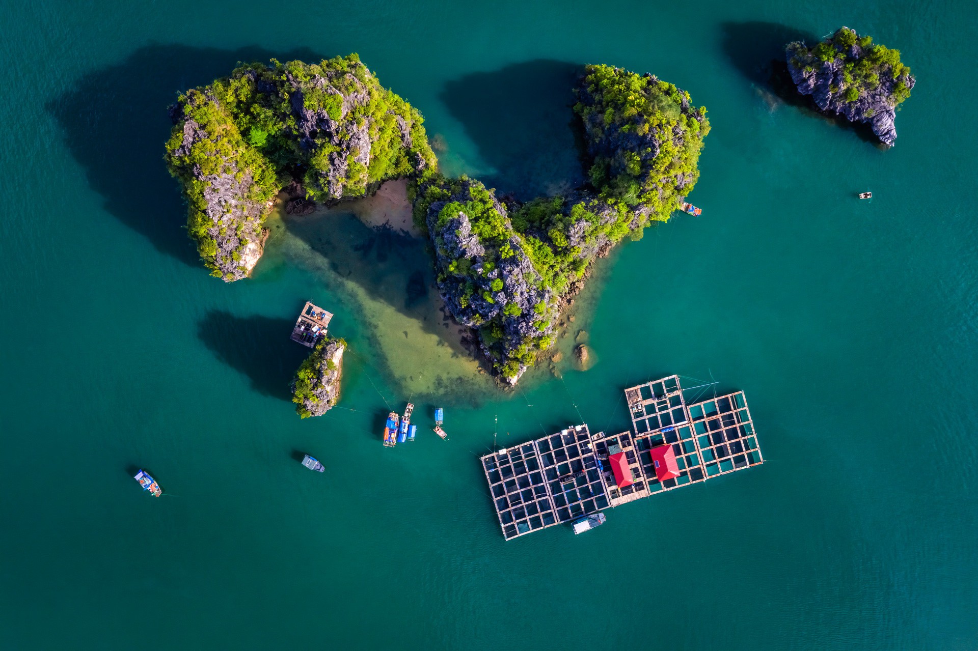 Những làng chài du lịch ở hai vịnh đẹp nhất Quảng Ninh - Ảnh 8. Những làng chài du lịch ở hai vịnh đẹp nhất Quảng Ninh - Ảnh 8.