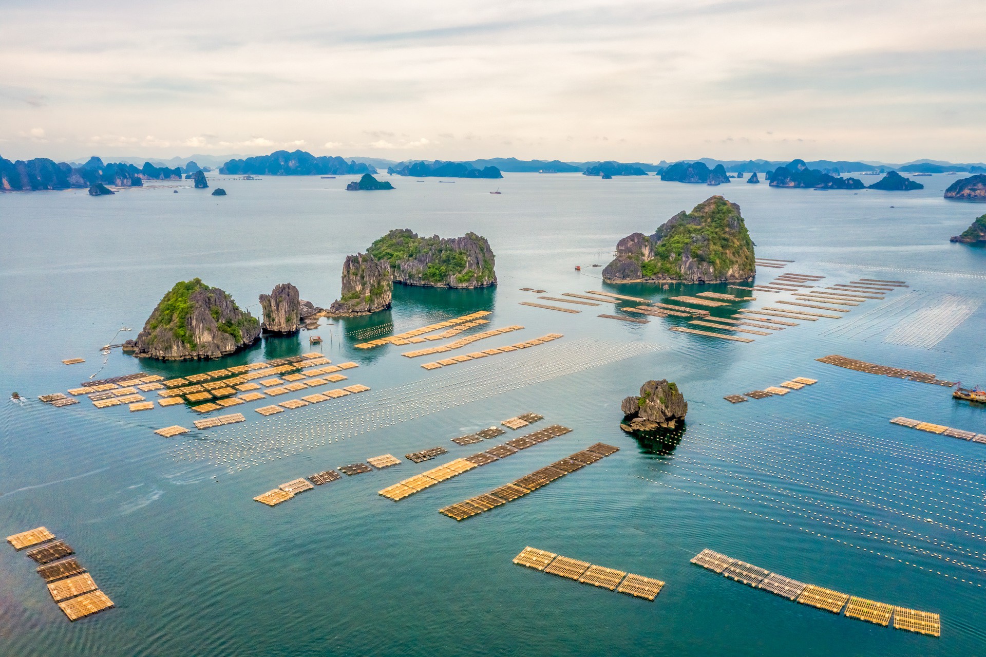 Nhung lang chai du lich o hai vinh dep nhat Quang Ninh hinh anh 23 